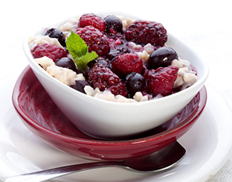 Recipes For Repair Book