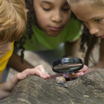 New Hampshire Geology For Kids At The Concord Public Library