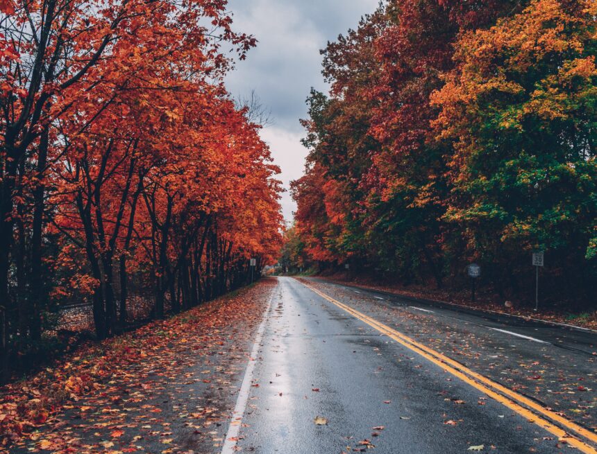 Beautiful wide shot of a road surrounded by trees with colorful leaves during fall What To Expect From The Weather This Week In The Concord Area