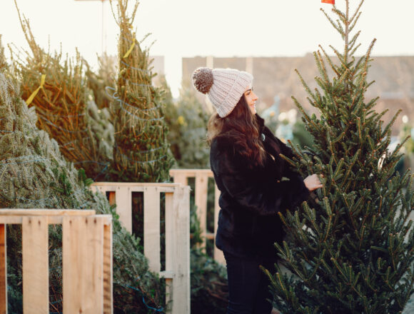 Where To Buy Your Christmas Tree in Concord and Penacook