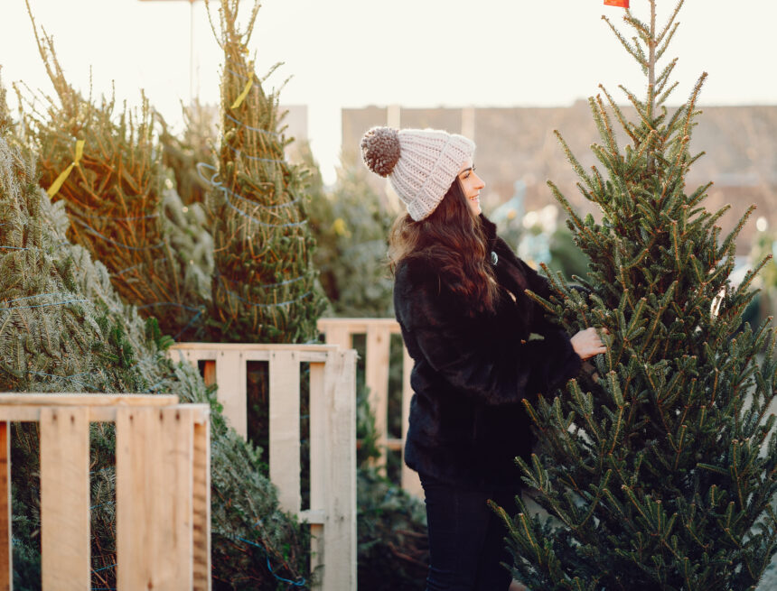 Where To Buy Your Christmas Tree in Concord and Penacook