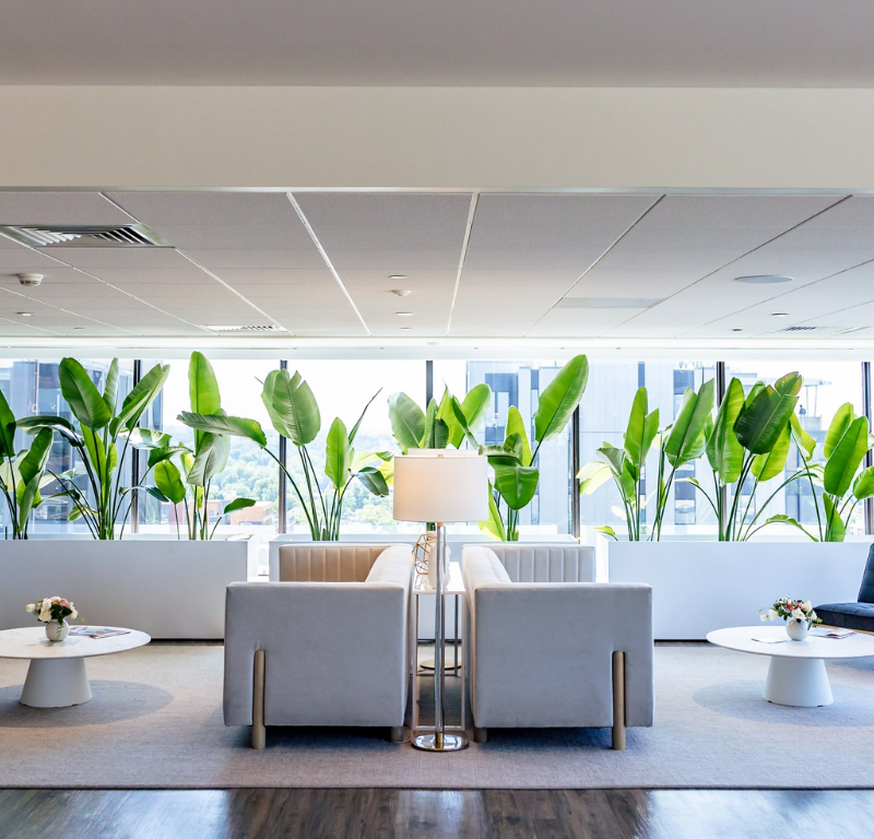 Best Medical Spa in Vermont