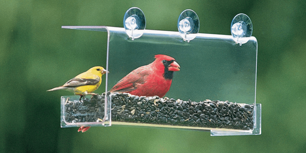 Duncraft Window Solutions