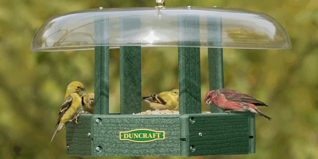 Duncraft Bird Feeders