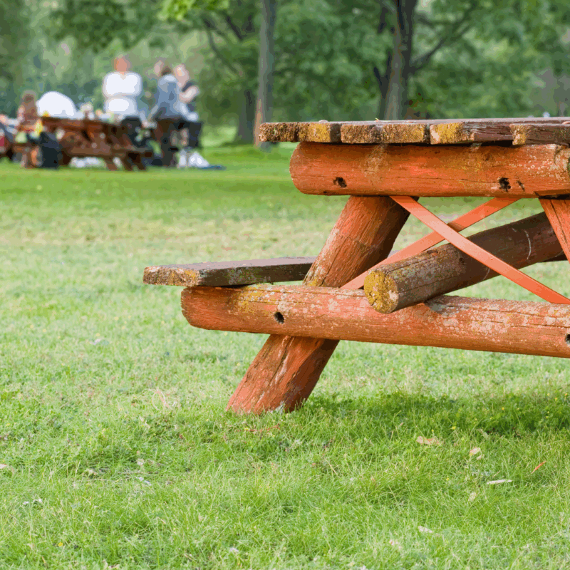 3 Local Events to Check Out This Weekend in Concord, NH