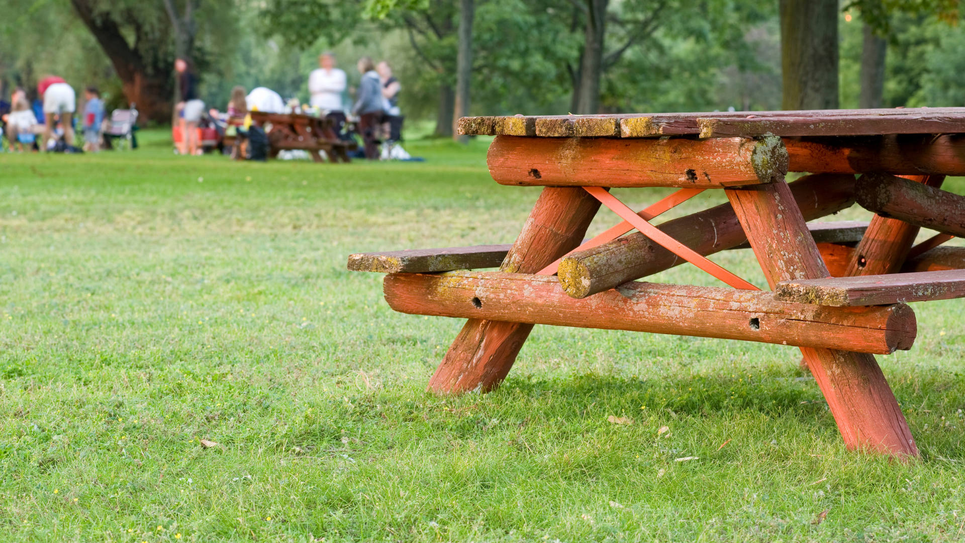 3 Local Events to Check Out This Weekend in Concord, NH