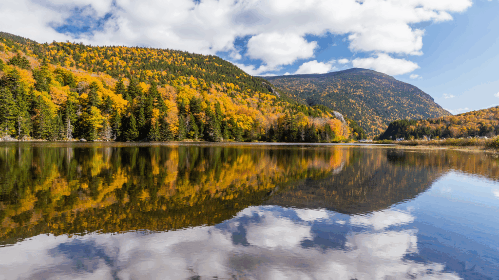 Leaf Season 2025: When and Where to Catch Peak Foliage in New Hampshire