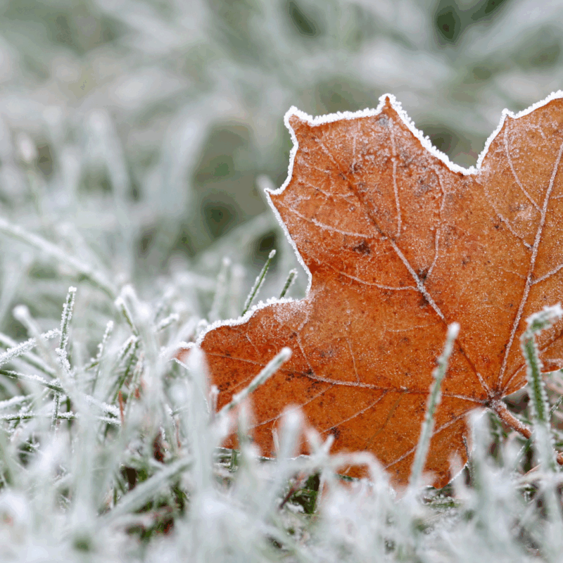 5 Things Every New Hampshire Homeowner Should Know Before Winter Hits