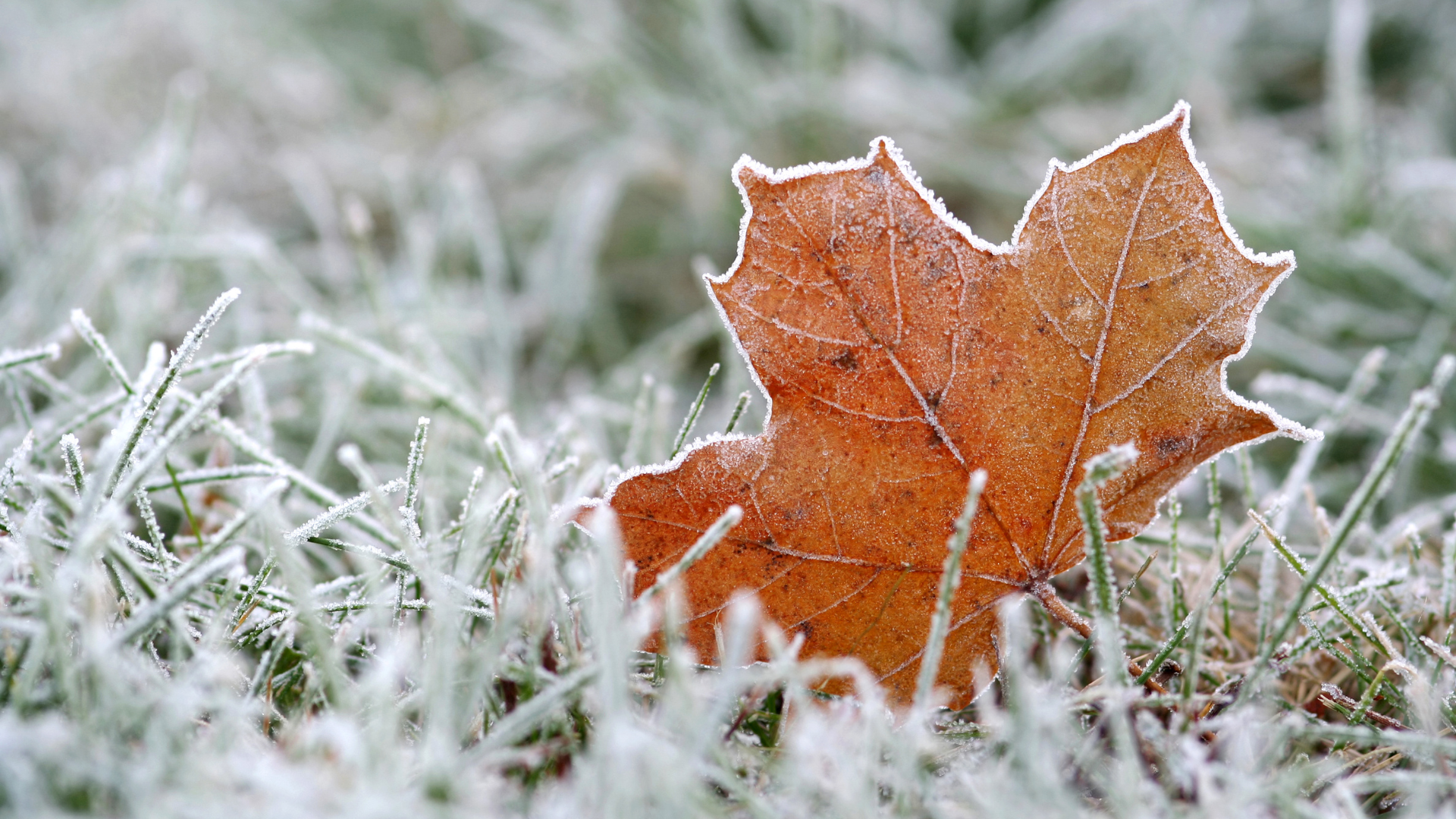 5 Things Every New Hampshire Homeowner Should Know Before Winter Hits