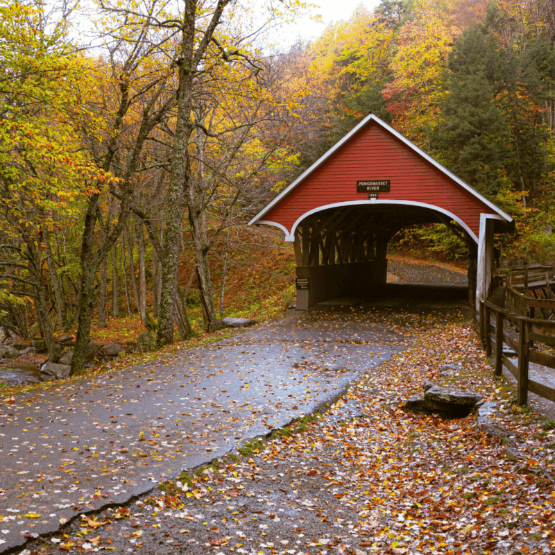 In Case You Missed It: Top Stories From September