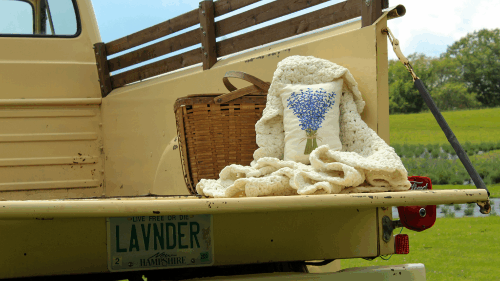 Exploring New Hampshire’s Lavender Fields at Pumpkin Blossom Farm