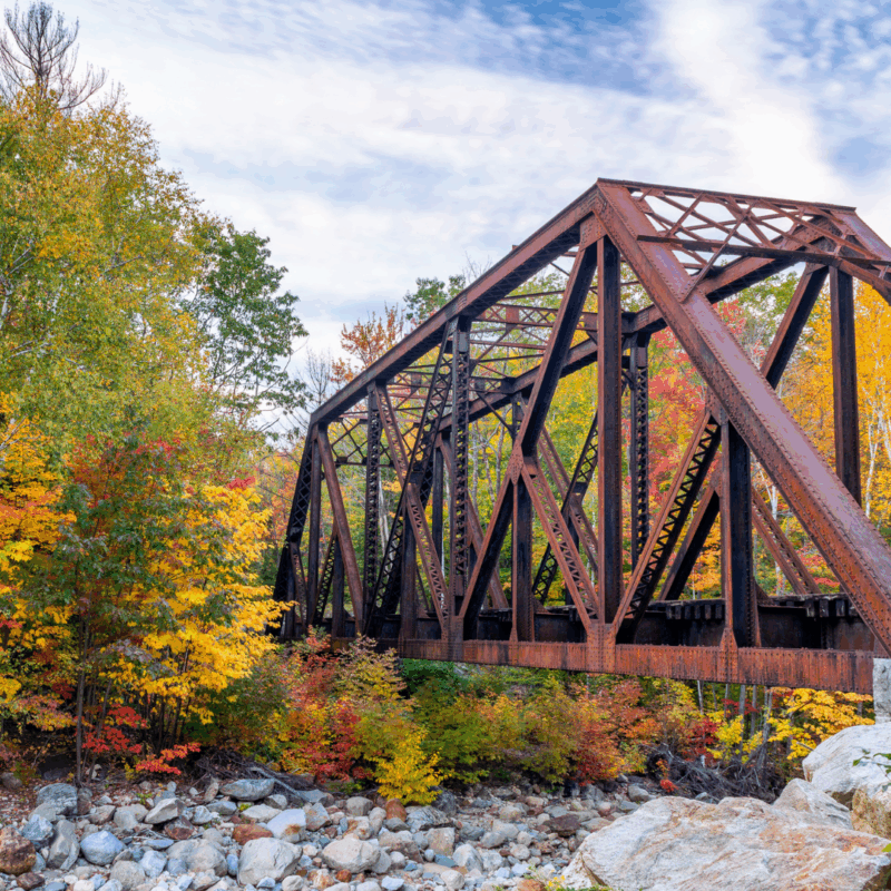 In Case You Missed It: Top Stories from October