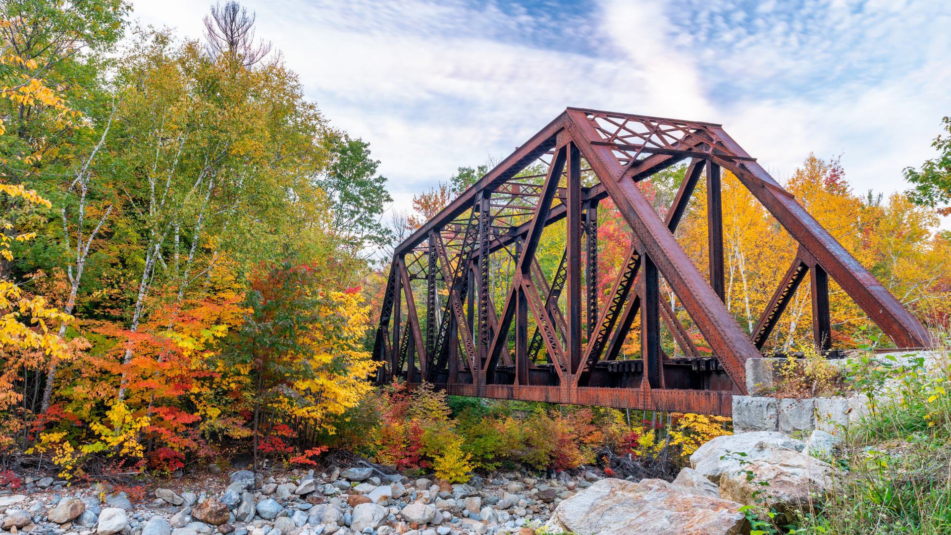 In Case You Missed It: Top Stories from October