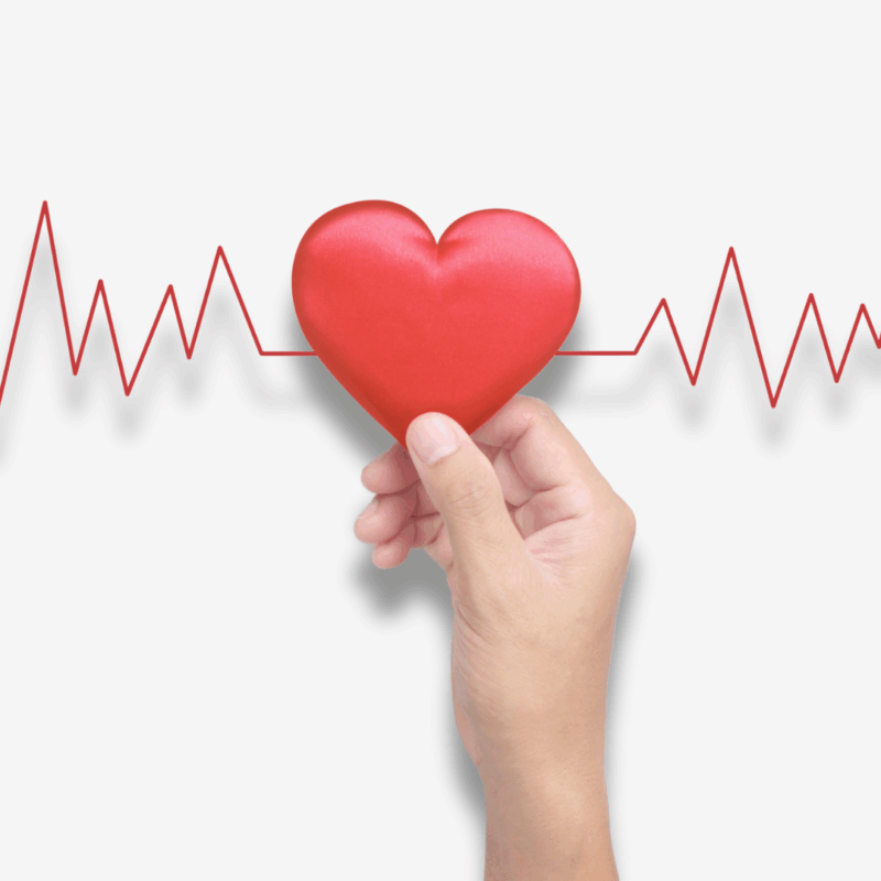 New Hampshire Cardiologist to Lead Statewide Effort for Women’s Heart Health