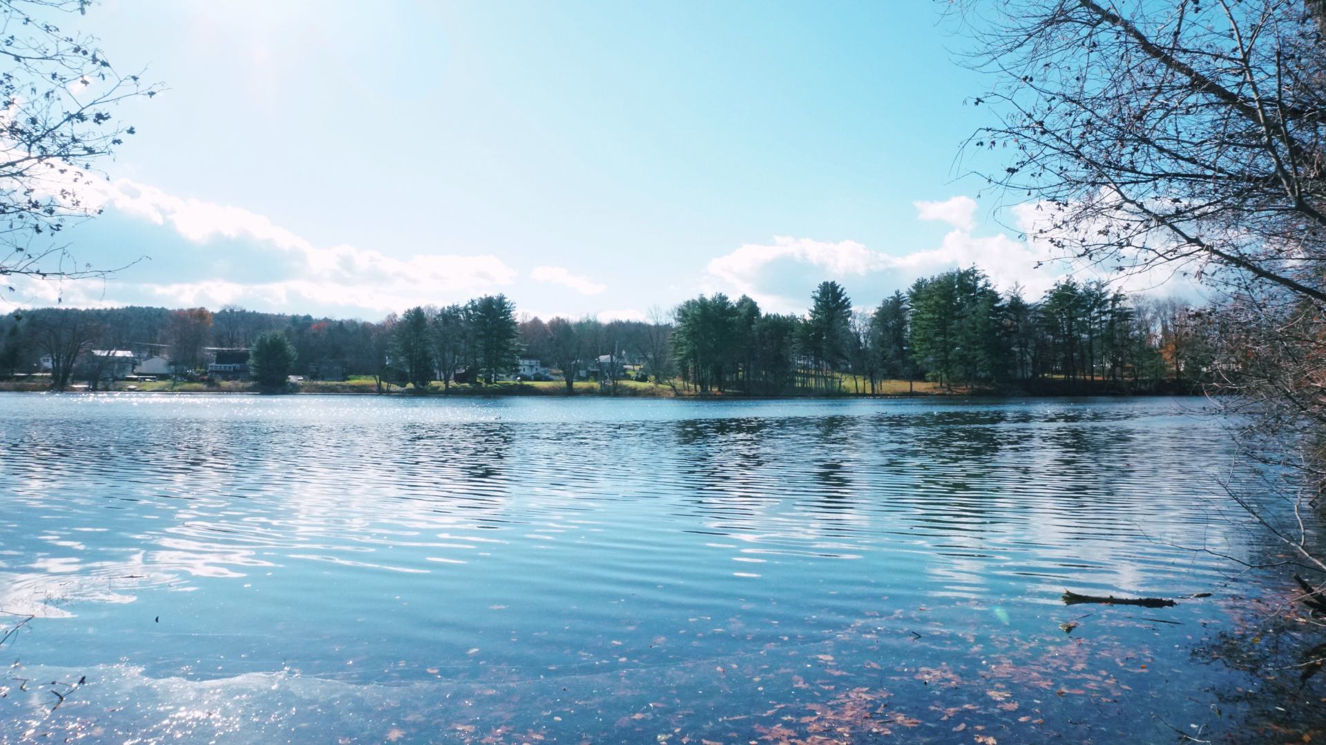 In Case You Missed It: Top Stories From December