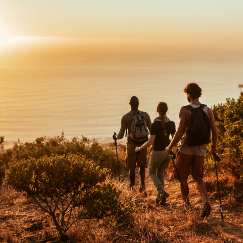 KAV Health Group Services