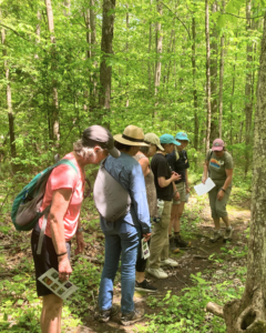 Attendees of an educational walk looking for spring wildflowers