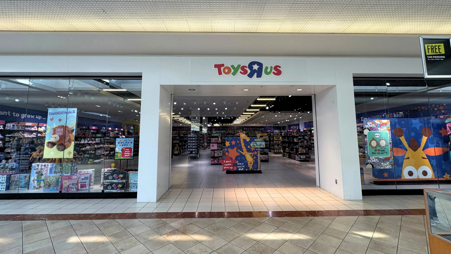 Toys R Us Has Returned to Manchester as Retailer Expands Across U.S.